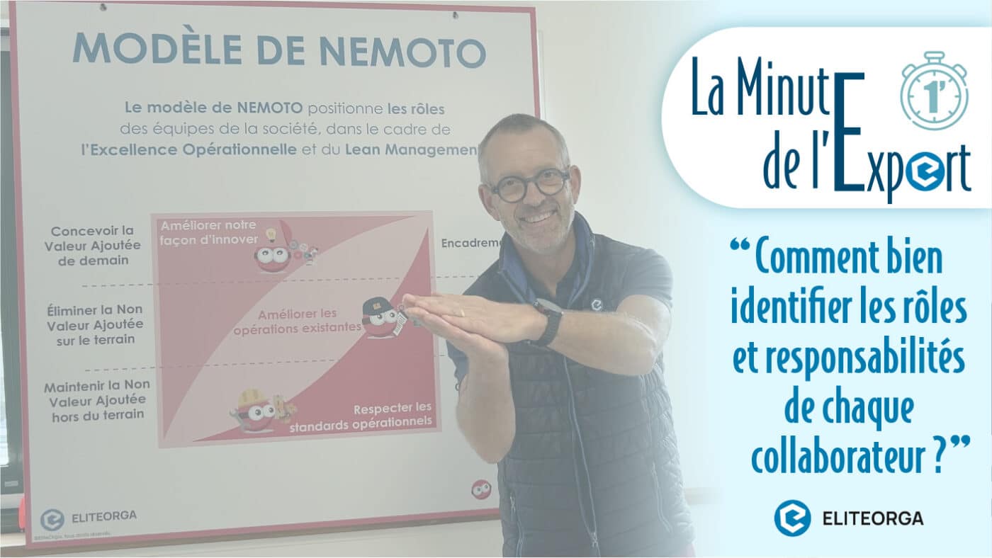 le modèle de Nemoto - Accompagnement et formation EliteOrga Nantes et Lille